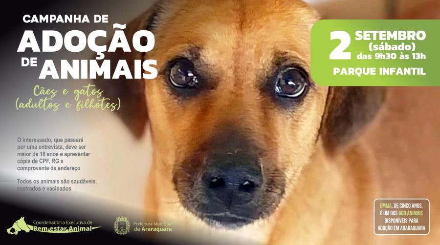 Prefeitura/ Divulgação 